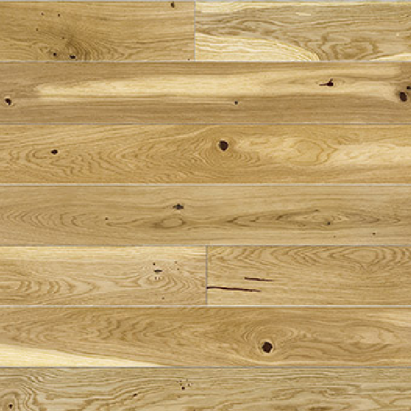 Oak Conchi