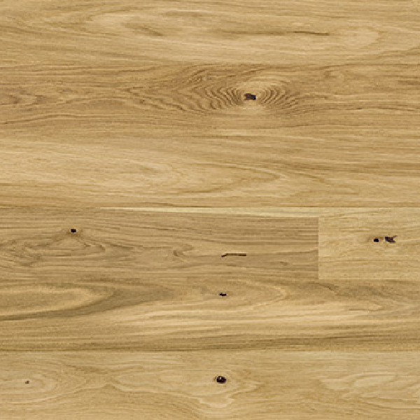 Oak Askania
