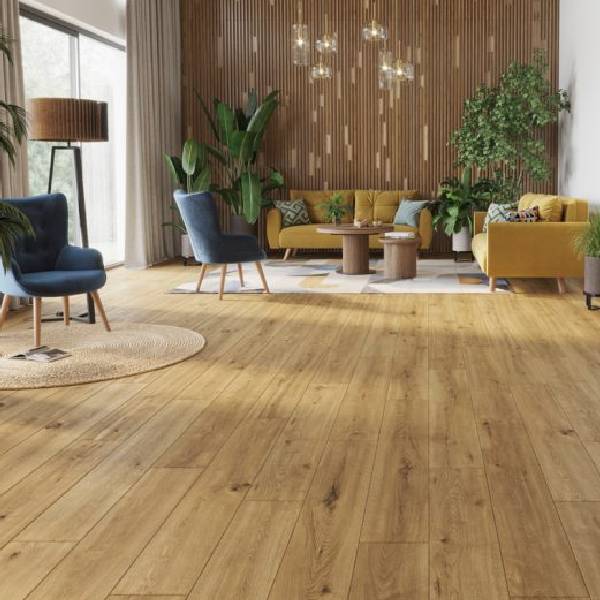 Bogota oak