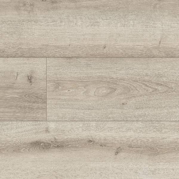 Nebrasca Oak