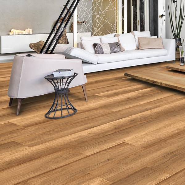 Caluri Oak