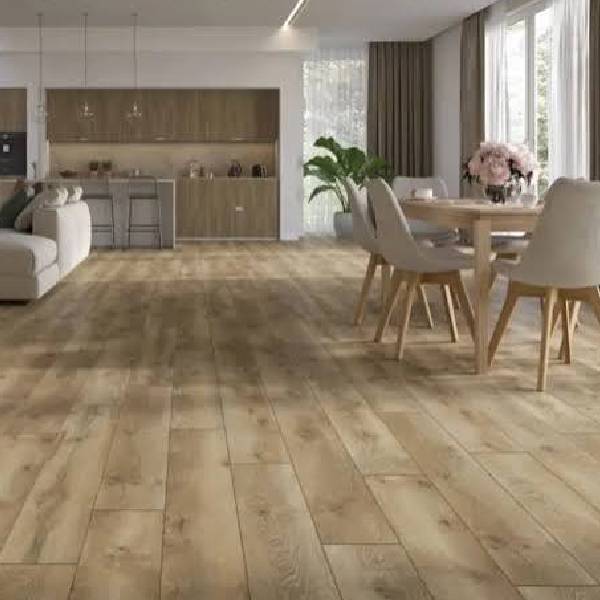 Havana Oak