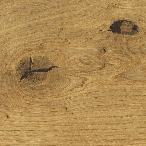 Oak