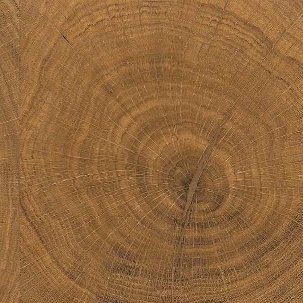 Oak Selectiv