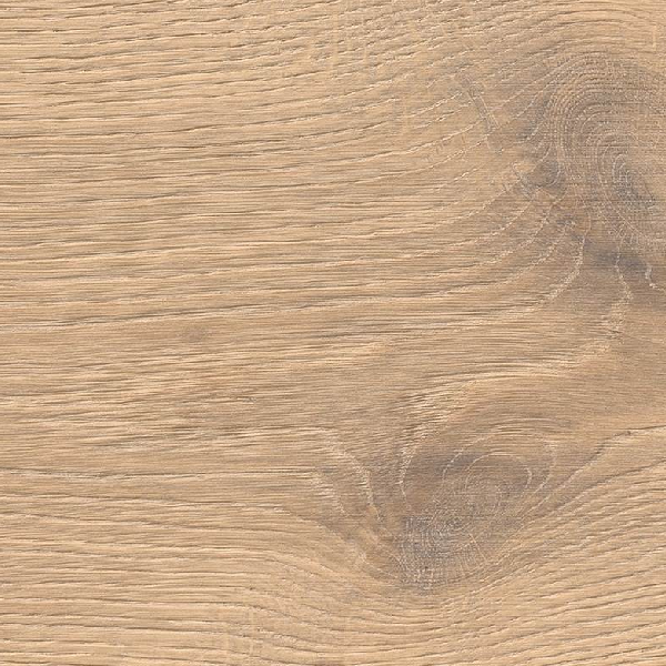 Oak Puro White