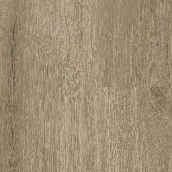 York Oak