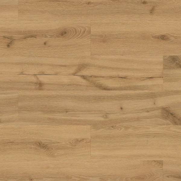 Amber Oak