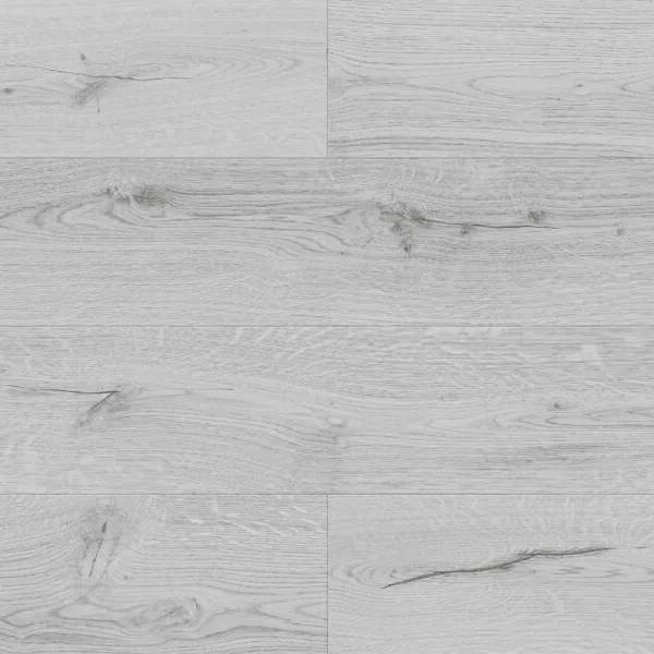 Arctic Oak